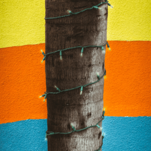 Nutrition: Meal Plan